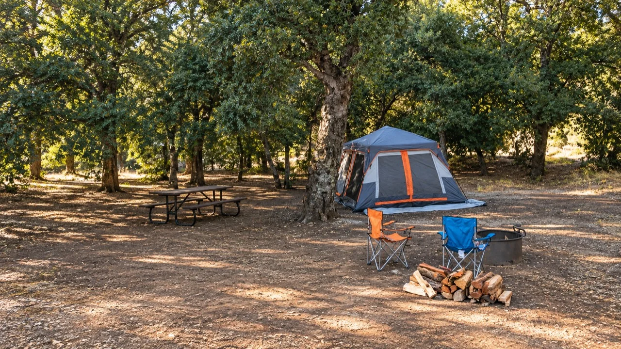 A tent, two camping chairs, and stacked firewood at a shaded campsite beneath large trees.